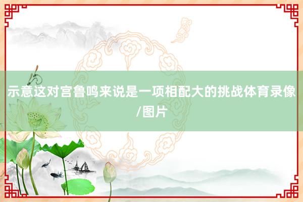 示意这对宫鲁鸣来说是一项相配大的挑战体育录像/图片