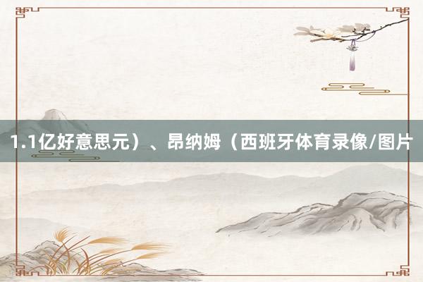 1.1亿好意思元）、昂纳姆（西班牙体育录像/图片