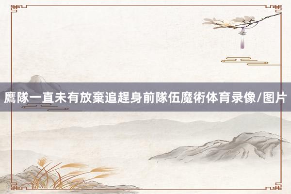 鷹隊一直未有放棄追趕身前隊伍魔術体育录像/图片