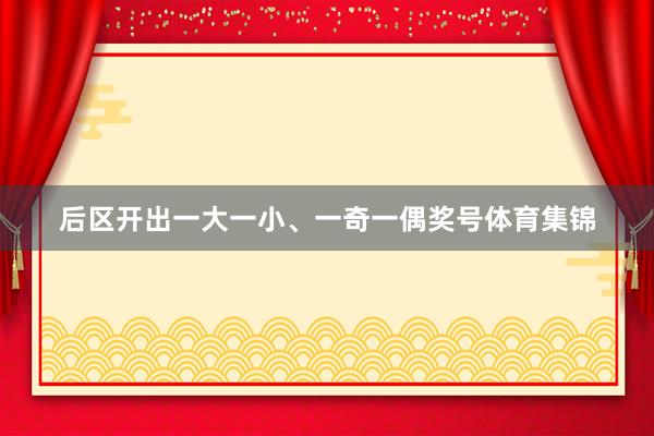 后区开出一大一小、一奇一偶奖号体育集锦