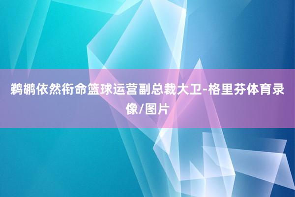 鹈鹕依然衔命篮球运营副总裁大卫-格里芬体育录像/图片