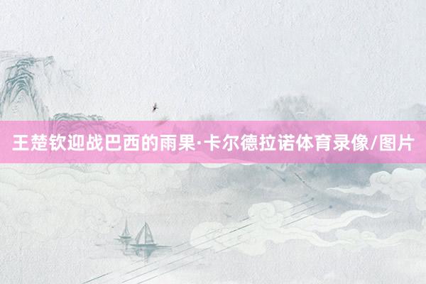 王楚钦迎战巴西的雨果·卡尔德拉诺体育录像/图片