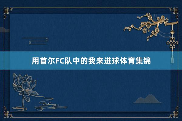 用首尔FC队中的我来进球体育集锦