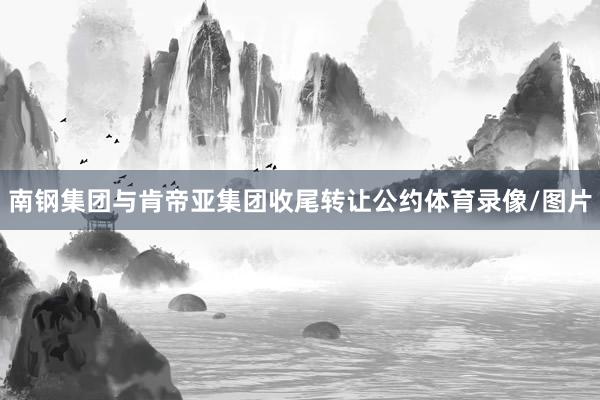 南钢集团与肯帝亚集团收尾转让公约体育录像/图片