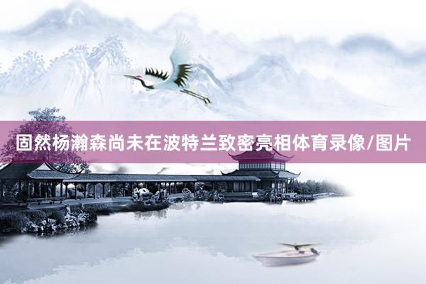 固然杨瀚森尚未在波特兰致密亮相体育录像/图片