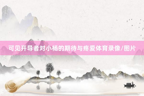 可见开导者对小杨的期待与疼爱体育录像/图片