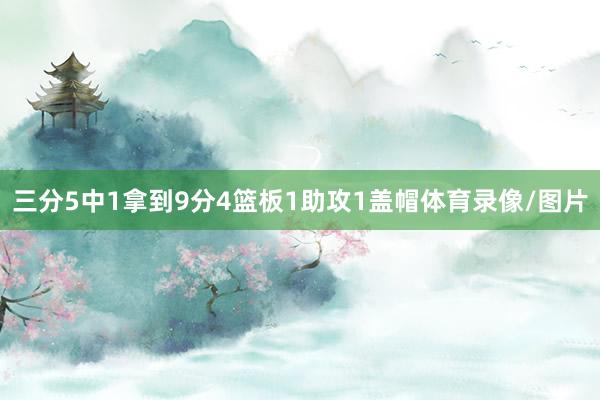 三分5中1拿到9分4篮板1助攻1盖帽体育录像/图片