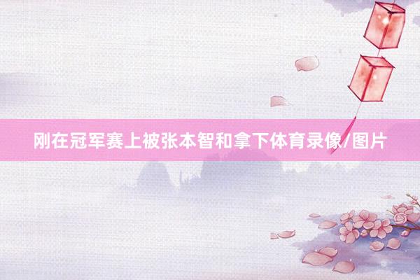 刚在冠军赛上被张本智和拿下体育录像/图片