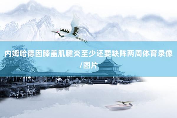 内姆哈德因膝盖肌腱炎至少还要缺阵两周体育录像/图片