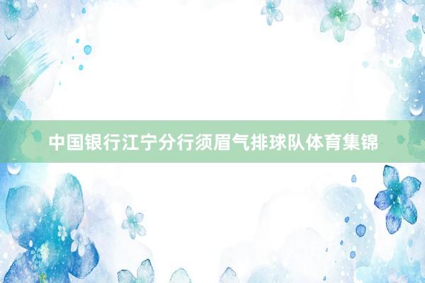 中国银行江宁分行须眉气排球队体育集锦