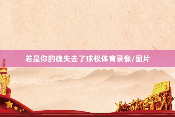 若是你的确失去了球权体育录像/图片