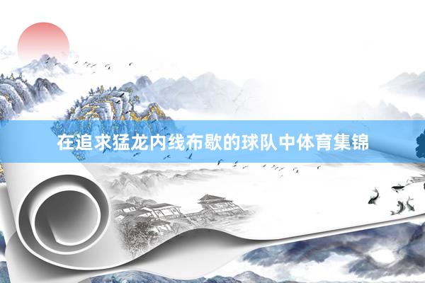 在追求猛龙内线布歇的球队中体育集锦