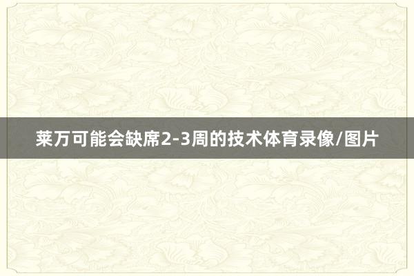 莱万可能会缺席2-3周的技术体育录像/图片